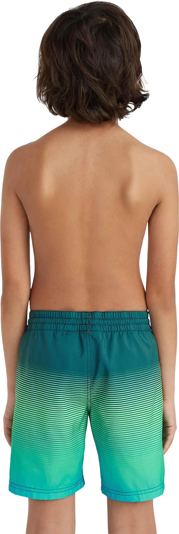 Product gallery image number 3 for product Cali Gradient Volley Swim Shorts 14" - Boys