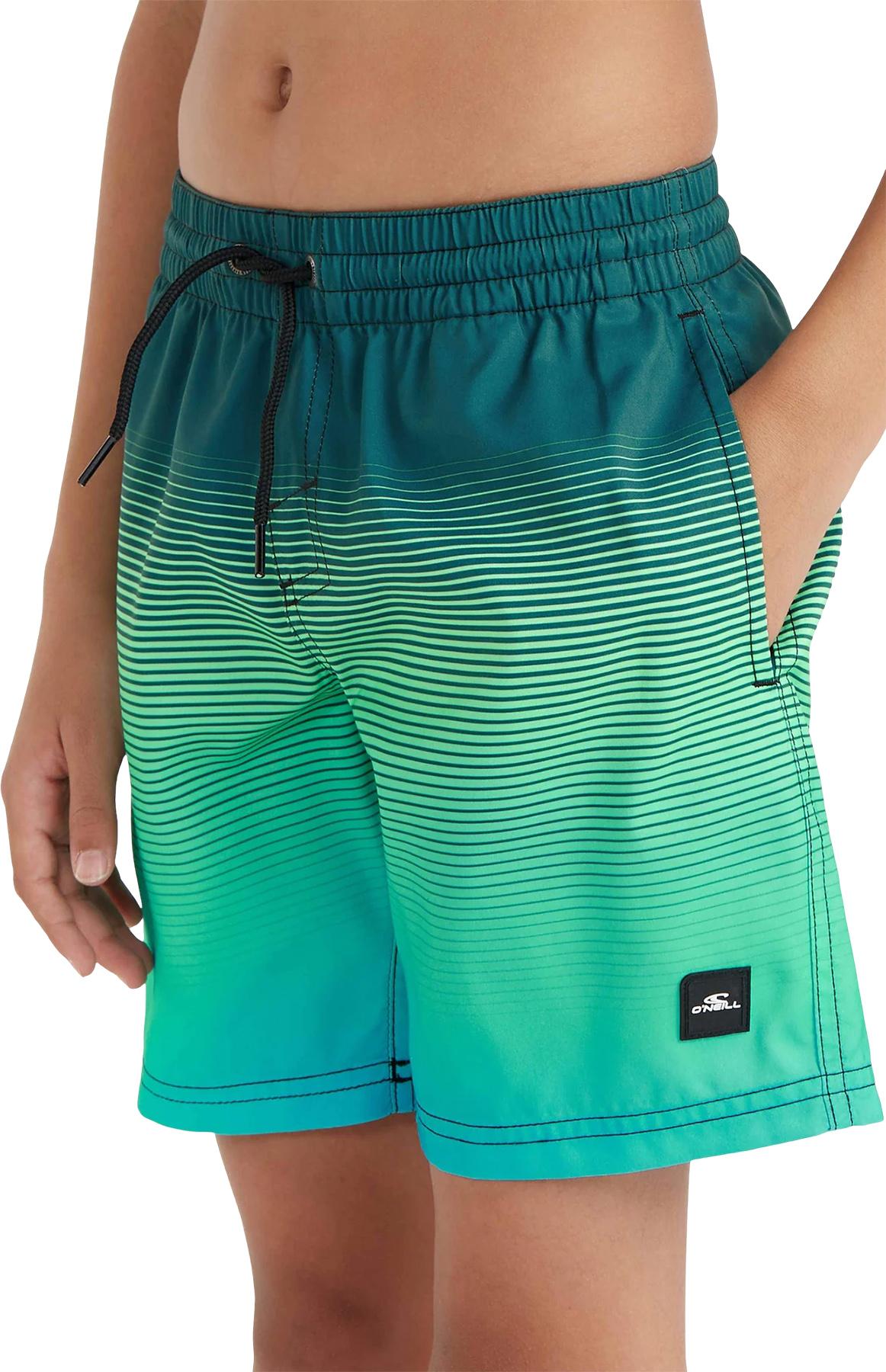 Product gallery image number 6 for product Cali Gradient Volley Swim Shorts 14" - Boys