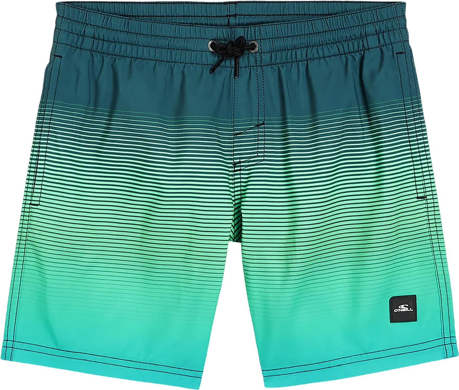 Product gallery image number 1 for product Cali Gradient Volley Swim Shorts 14" - Boys
