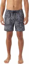 Colour: Black Print