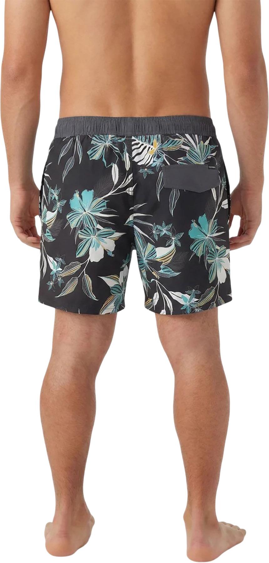 Product gallery image number 2 for product Hermosa Retro Lined Volley Swim Trunks 17" - Men's