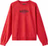 Colour: Lifeguard Red