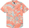 Colour: Coral