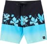 Couleur: Turquoise