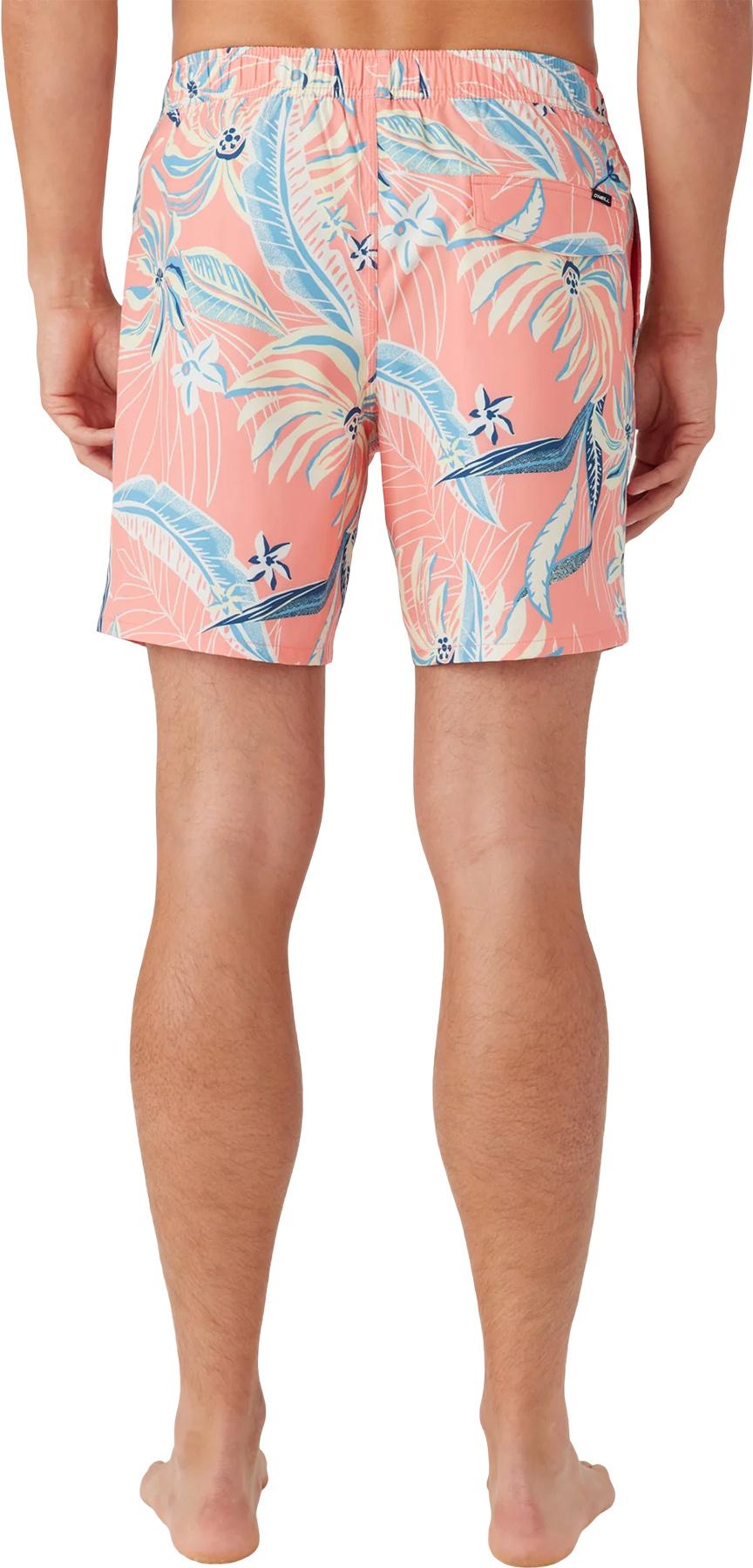 Numéro de l'image de la galerie de produits 2 pour le produit Short de bain volley E-Waist Hermosa 17" - Homme