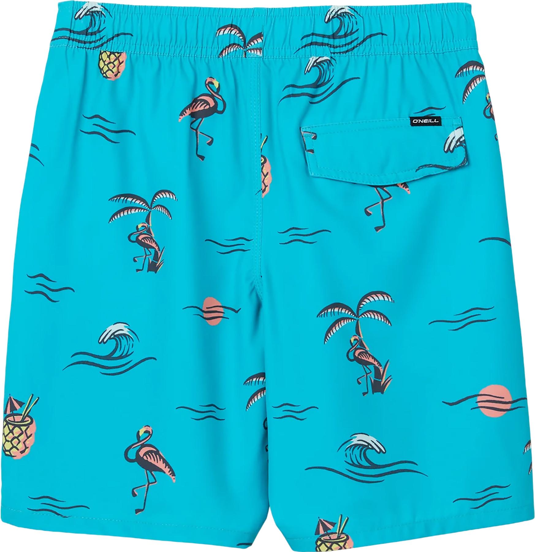 Product gallery image number 2 for product Hermosa Volley Boardshorts 16" - Boys