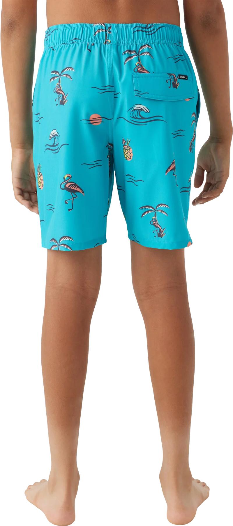 Product gallery image number 3 for product Hermosa Volley Boardshorts 16" - Boys