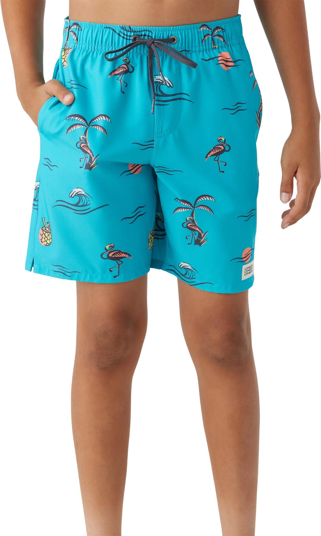 Product gallery image number 5 for product Hermosa Volley Boardshorts 16" - Boys