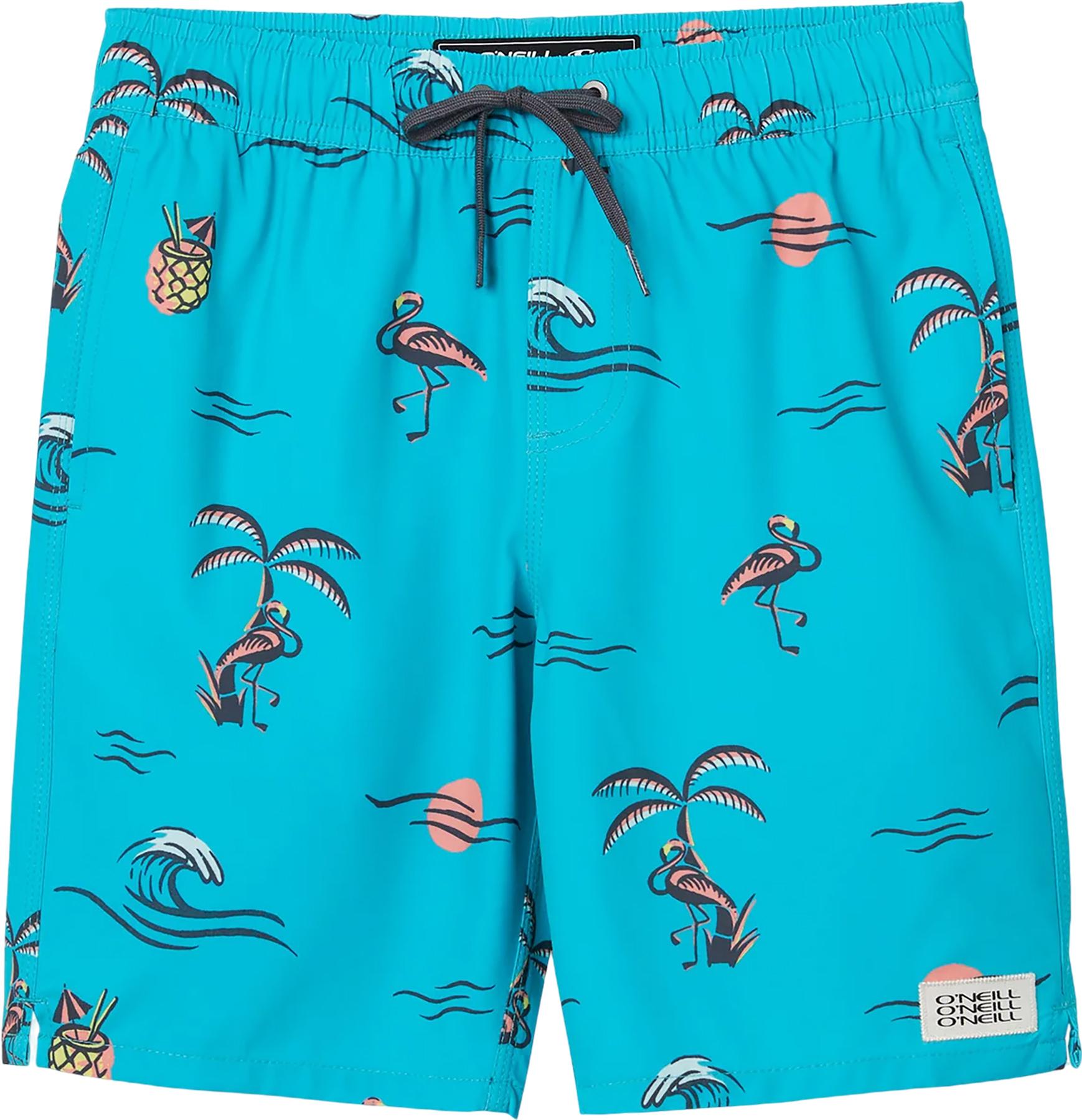 Product image for Hermosa Volley Boardshorts 16" - Boys