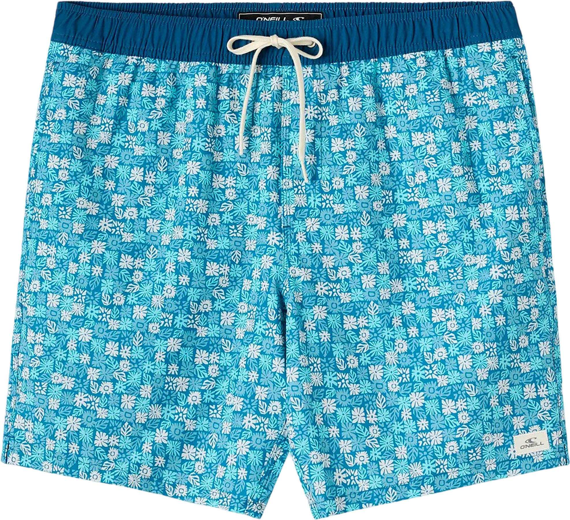 Product image for Hermosa Volley E-Waist Boardshorts 17" - Men's