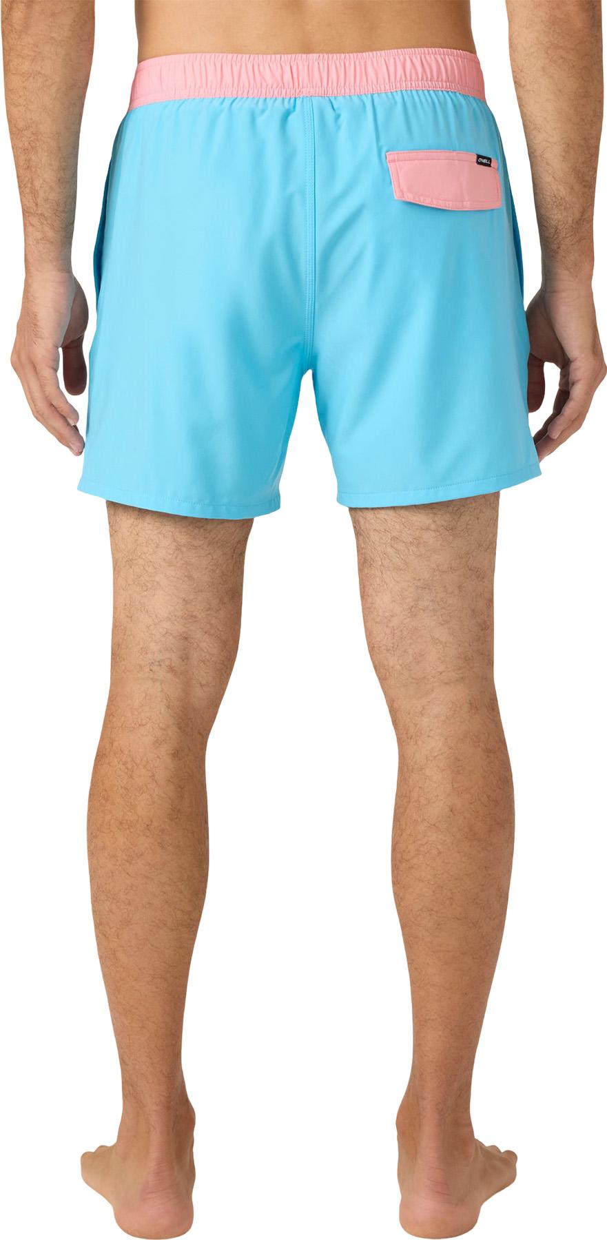 Product gallery image number 3 for product Hermosa Volley Light Lined Trunks 15" - Men's
