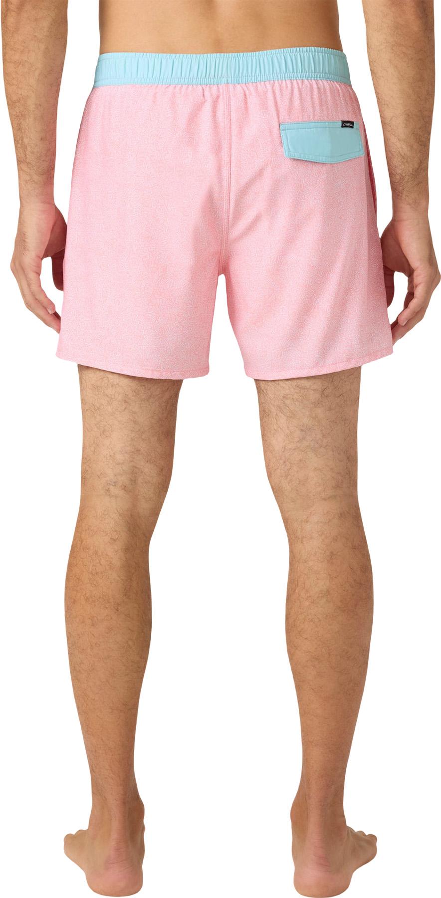 Product gallery image number 3 for product Hermosa Volley Light Lined Trunks 15" - Men's