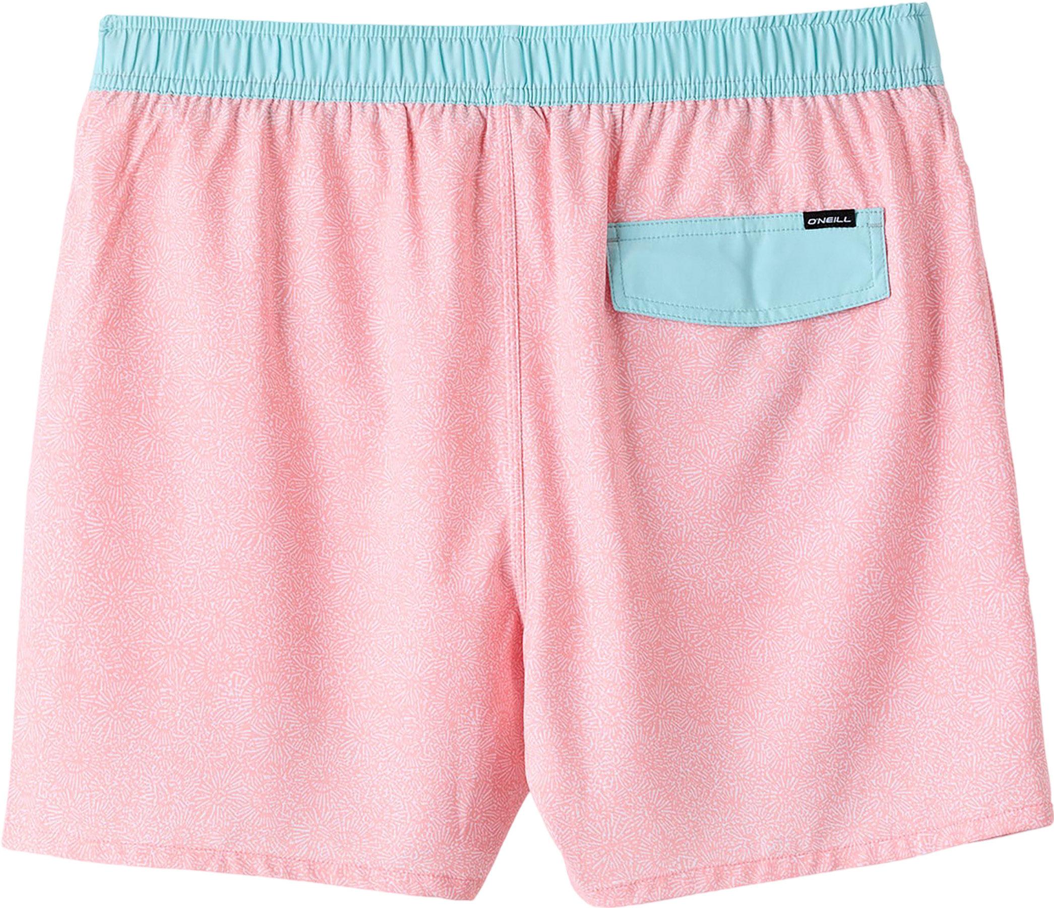 Product gallery image number 4 for product Hermosa Volley Light Lined Trunks 15" - Men's