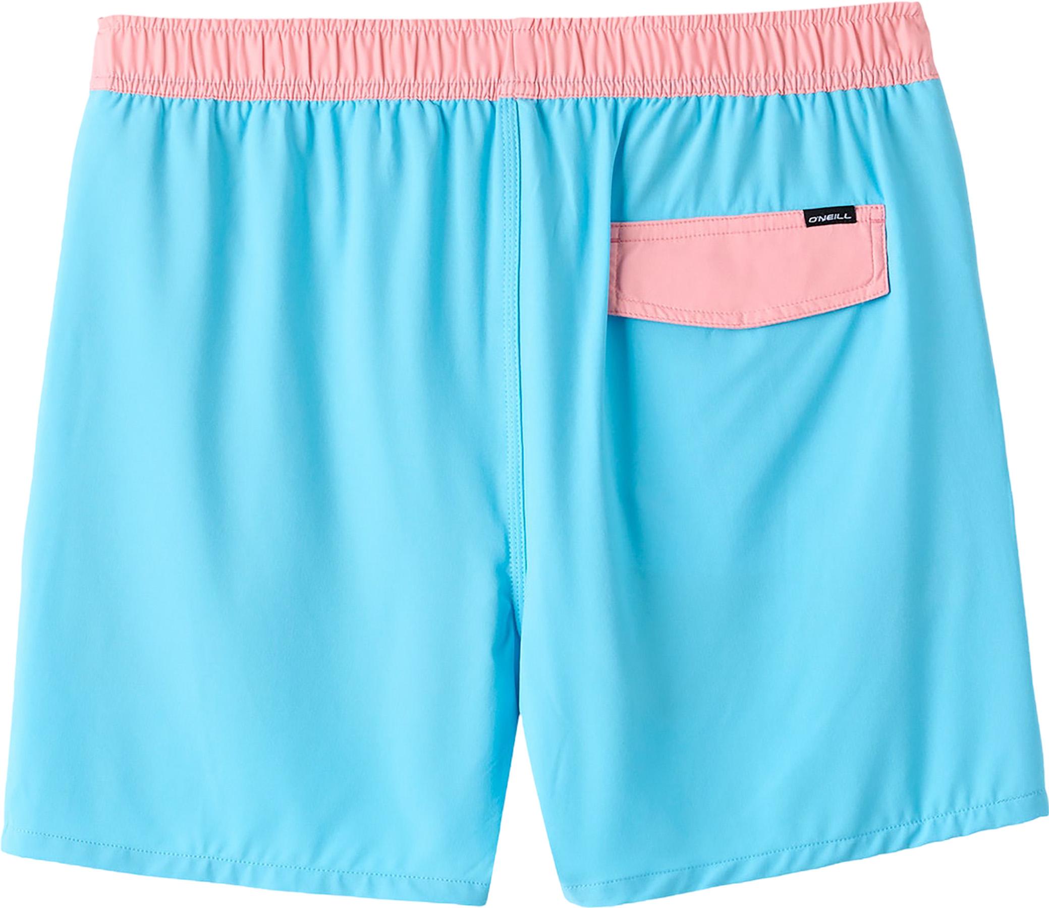 Product gallery image number 4 for product Hermosa Volley Light Lined Trunks 15" - Men's