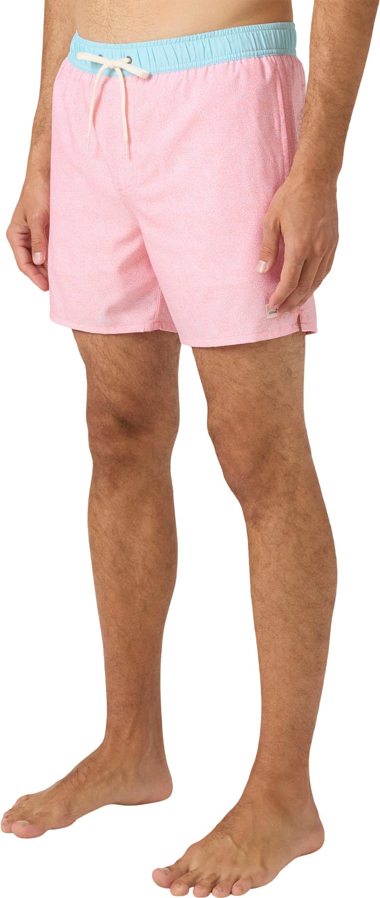 Product gallery image number 2 for product Hermosa Volley Light Lined Trunks 15" - Men's