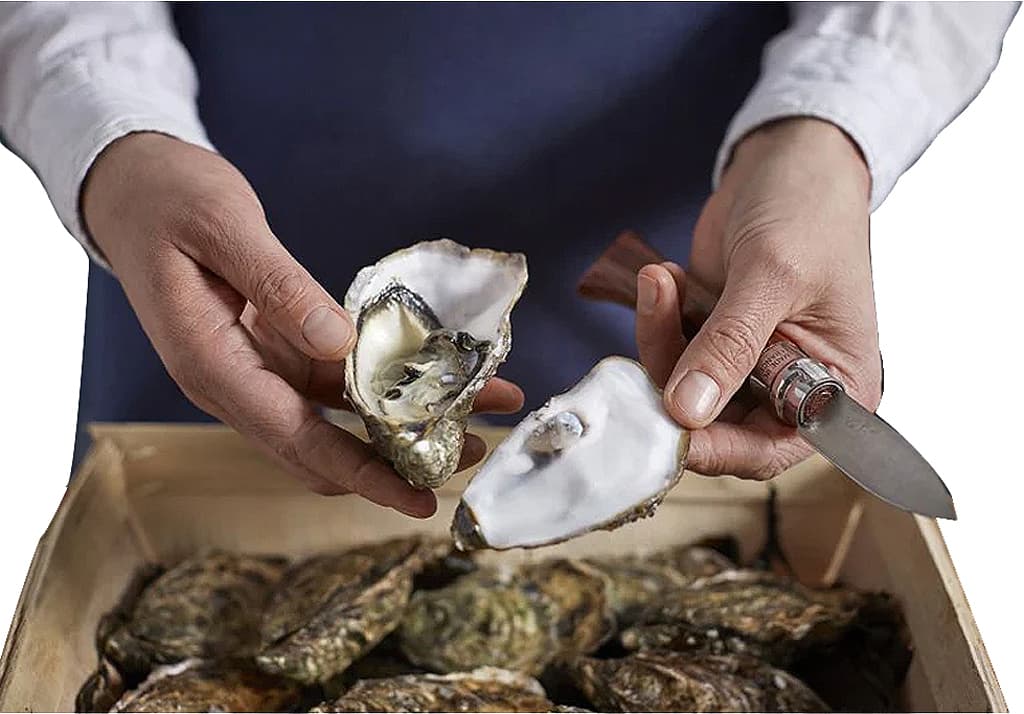 Product gallery image number 2 for product No.09 Oysters and shellfish knife