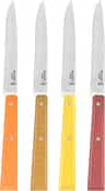 Colour: Agrumes