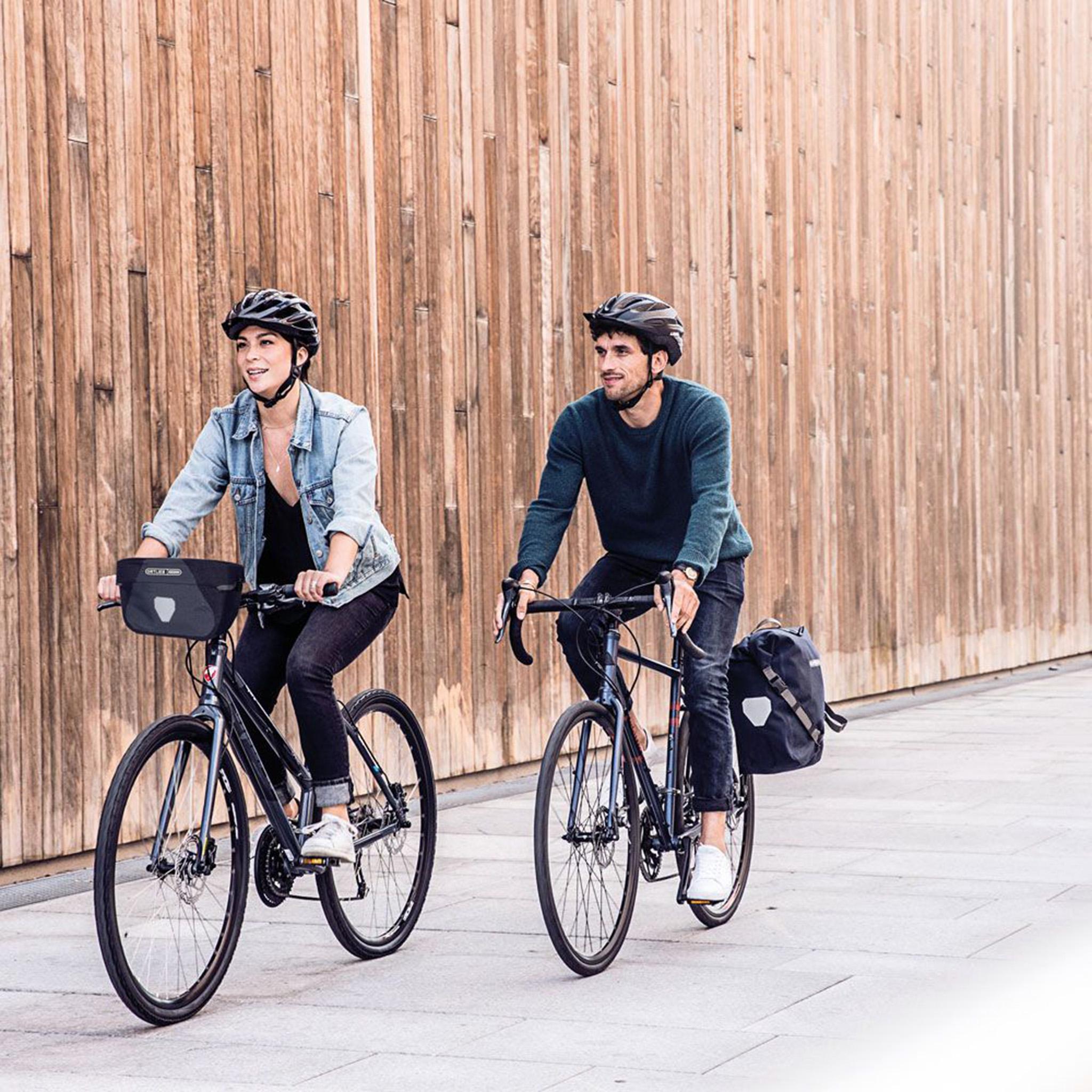 Product gallery image number 4 for product Back-Roller Urban Bike Pannier 20L