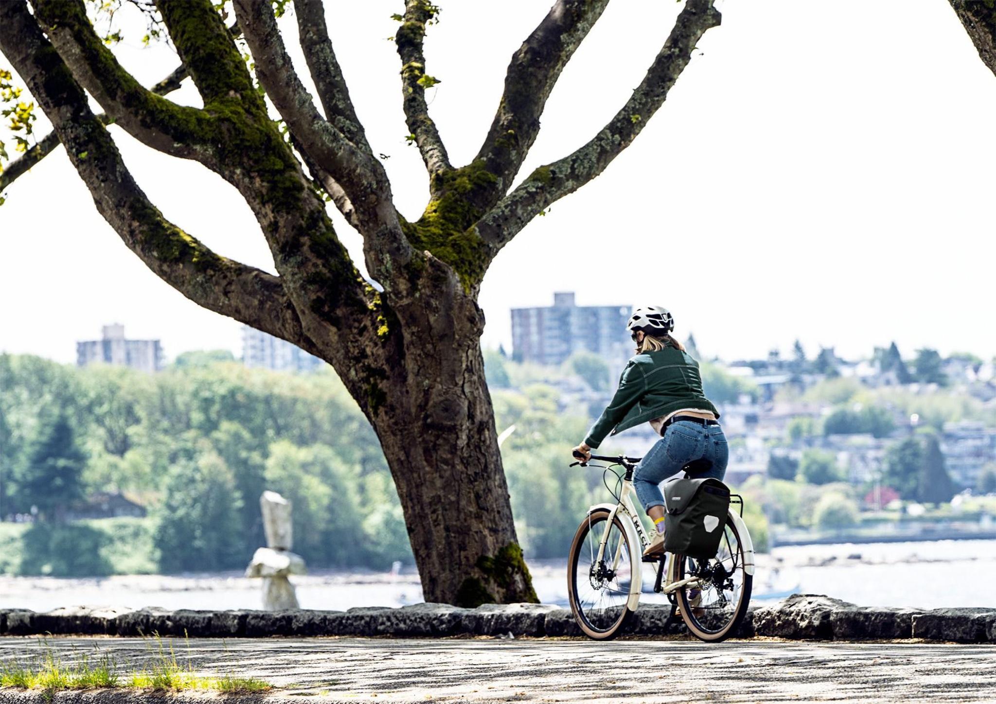 Product gallery image number 7 for product Sacoche de vélo Velo-Shopper 18L