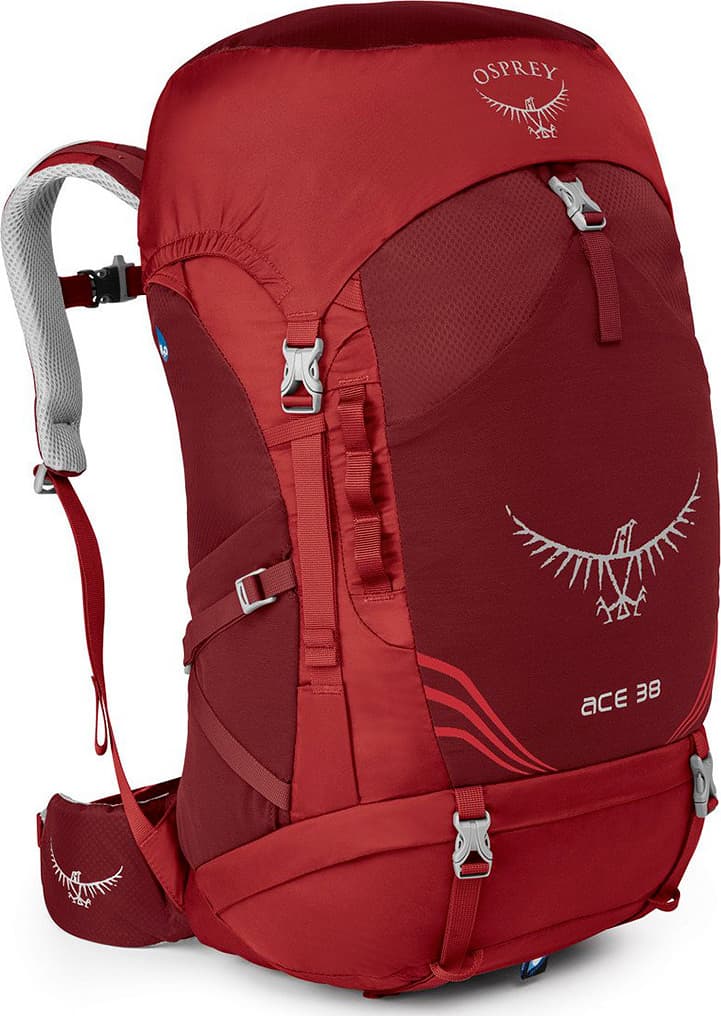 Product gallery image number 1 for product Kid's Ace 38