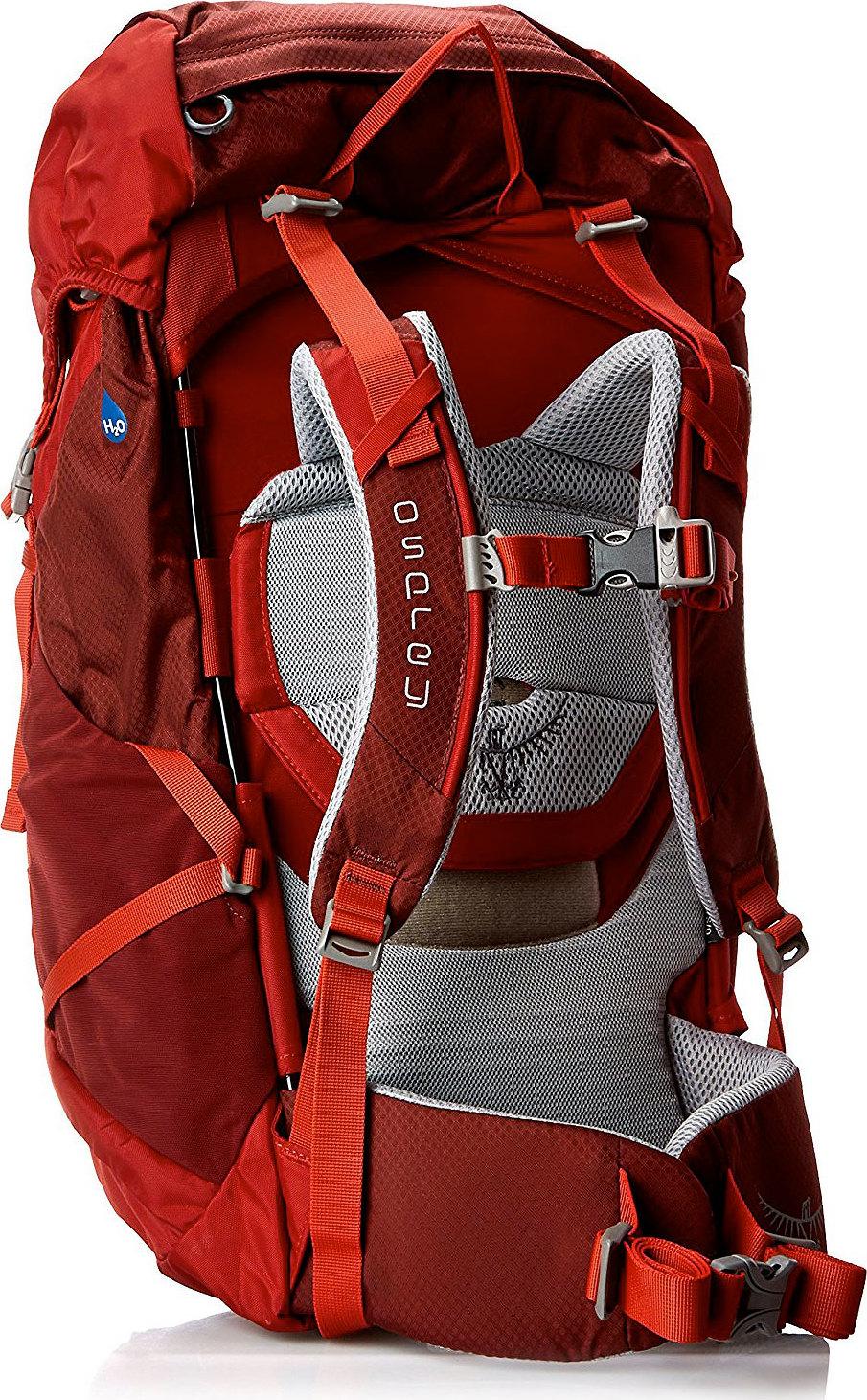 Product gallery image number 3 for product Kid's Ace 38