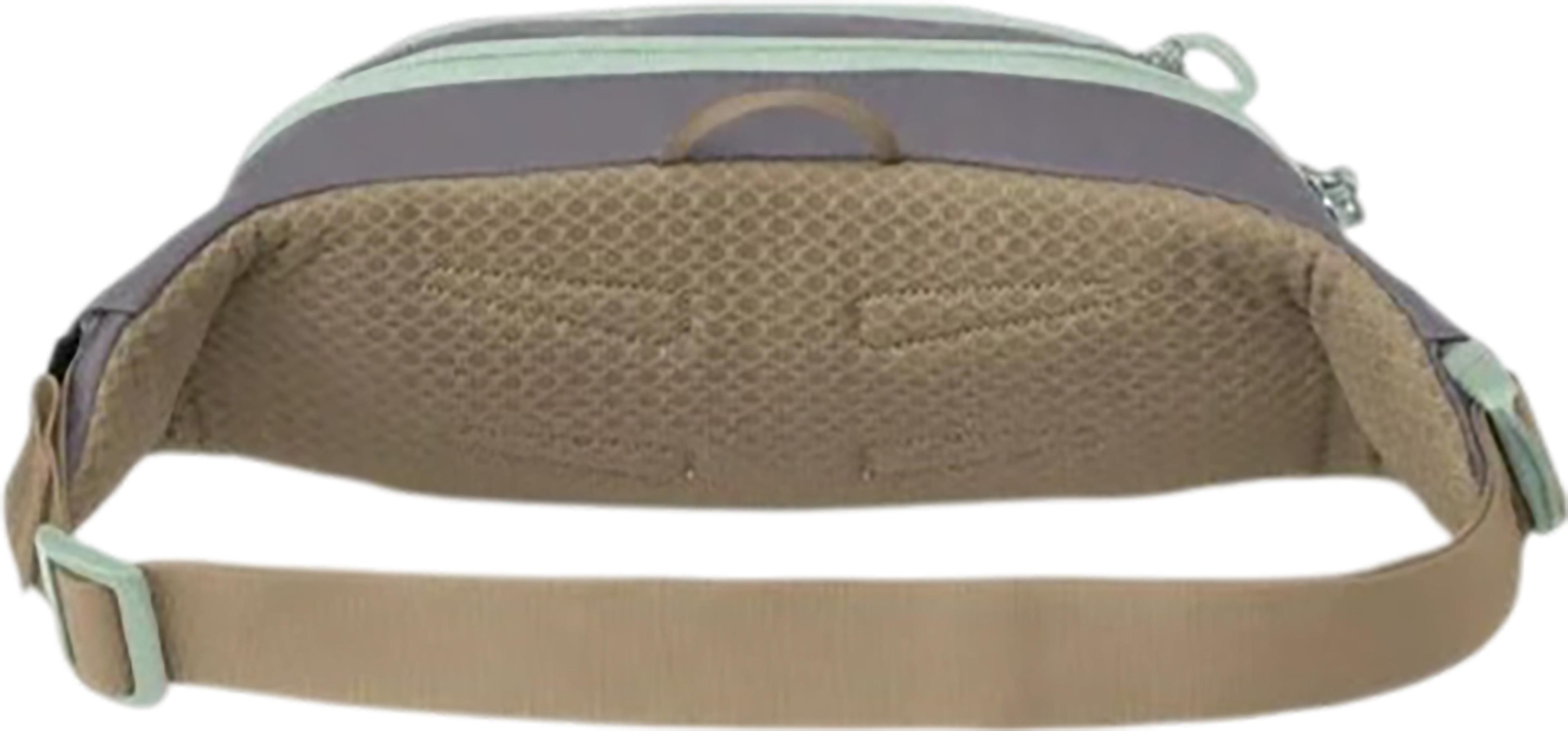 Product gallery image number 2 for product Daylite Waist Pack 2L