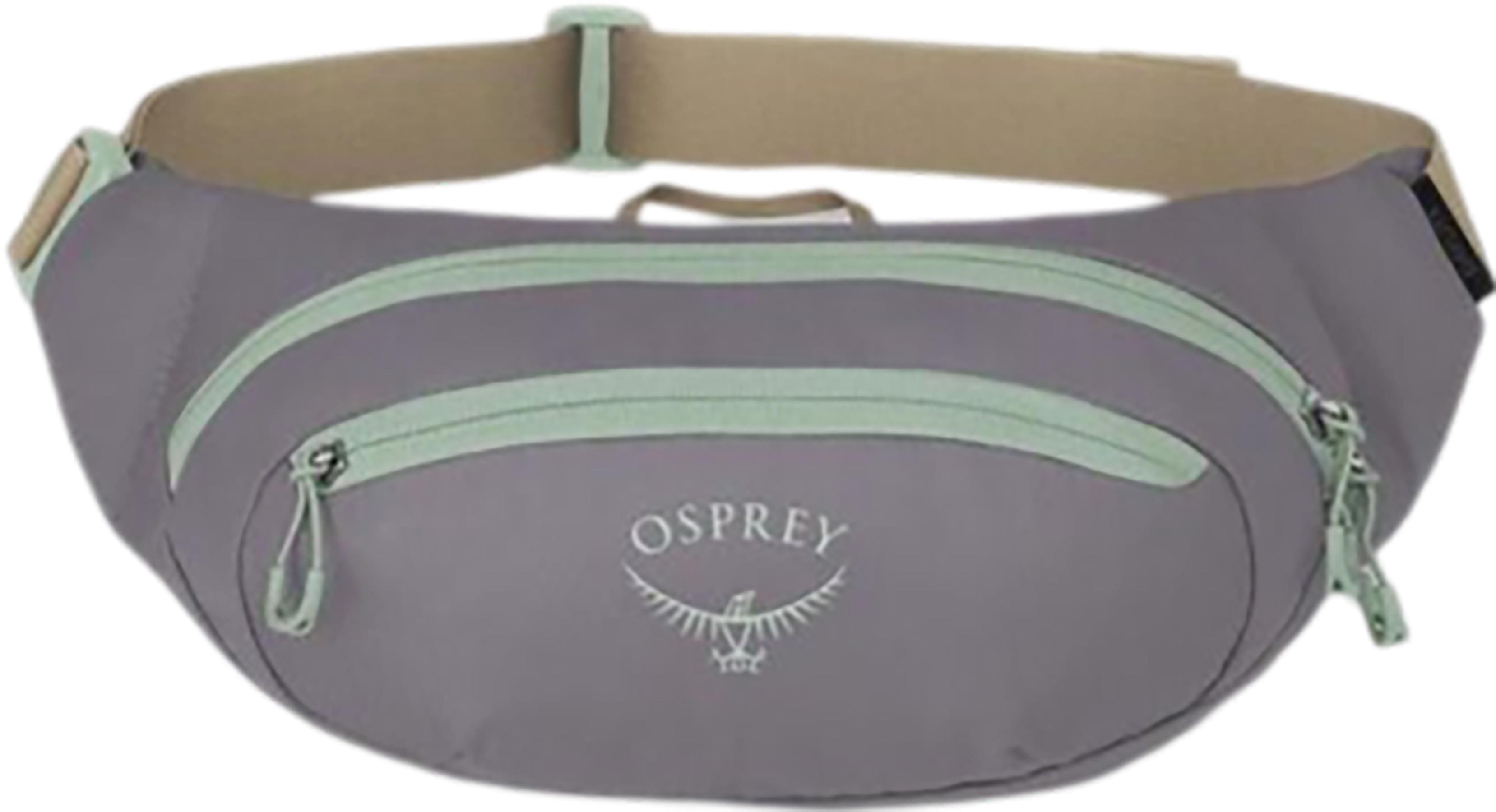 Product gallery image number 3 for product Daylite Waist Pack 2L