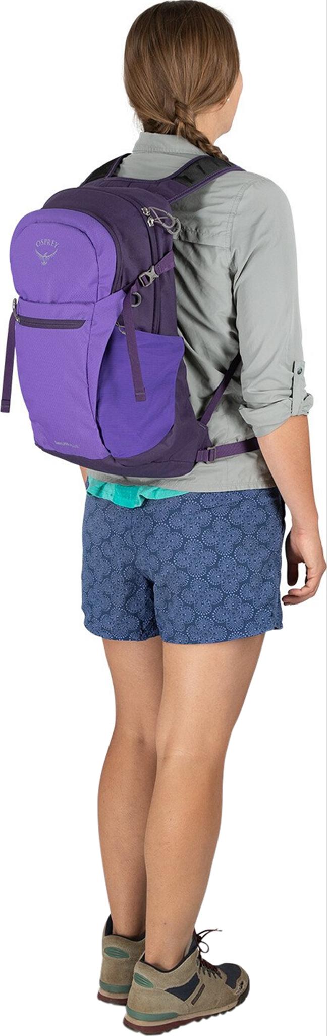 Product gallery image number 5 for product Daylite Plus Daypack 20L