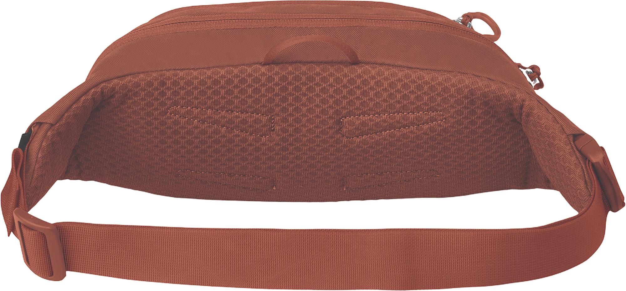 Product gallery image number 2 for product Daylite Waist Pack 2L