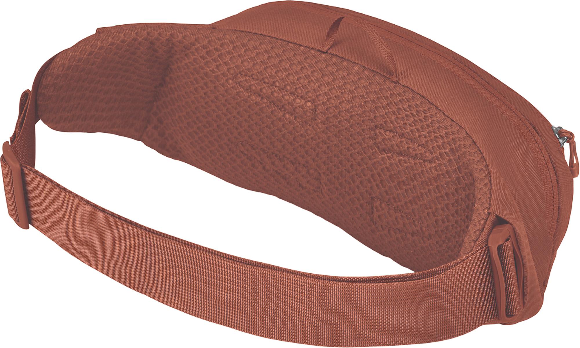 Product gallery image number 4 for product Daylite Waist Pack 2L