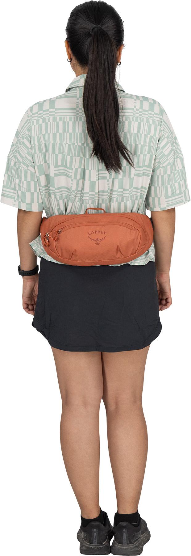 Product gallery image number 7 for product Daylite Waist Pack 2L