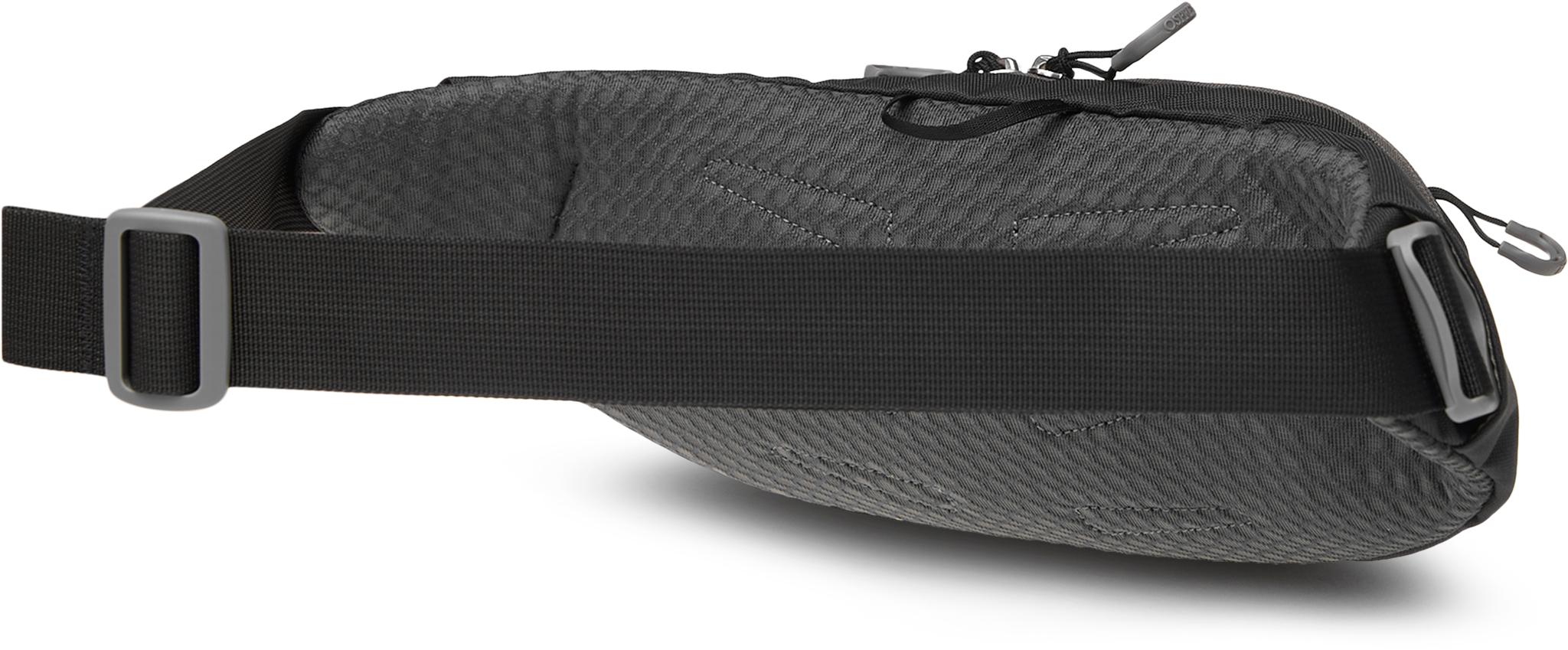 Numéro de l'image de la galerie de produits 2 pour le produit Sac de taille Daylite 2L