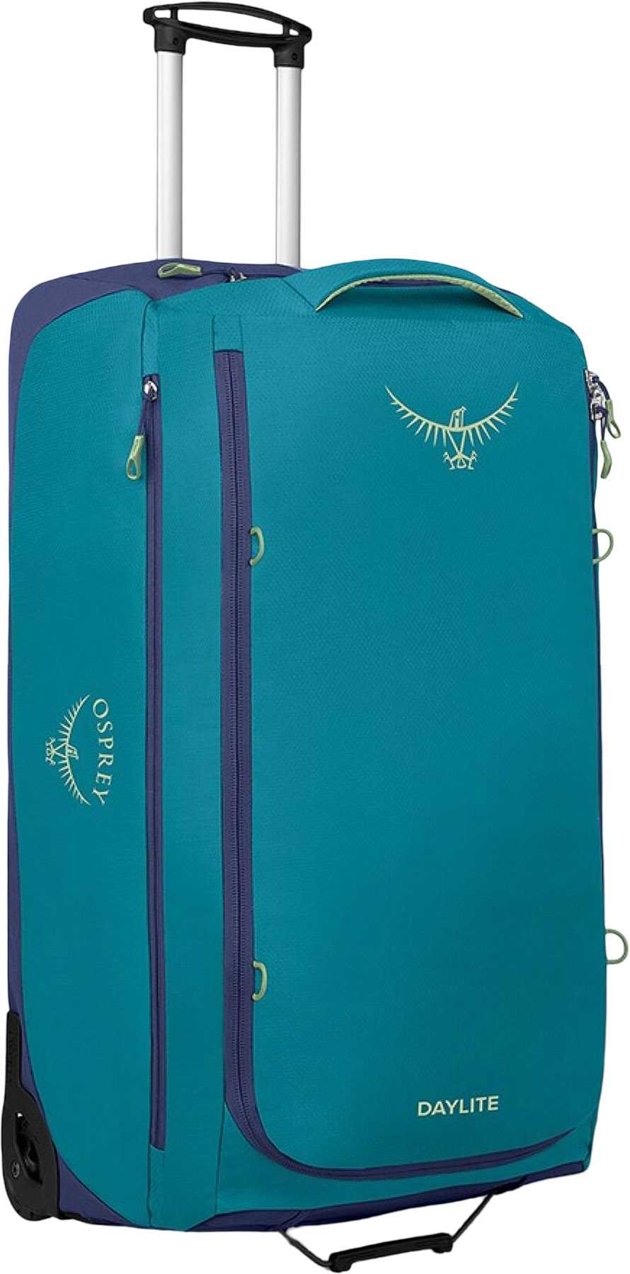 Blue Spikemoss - Alkaline