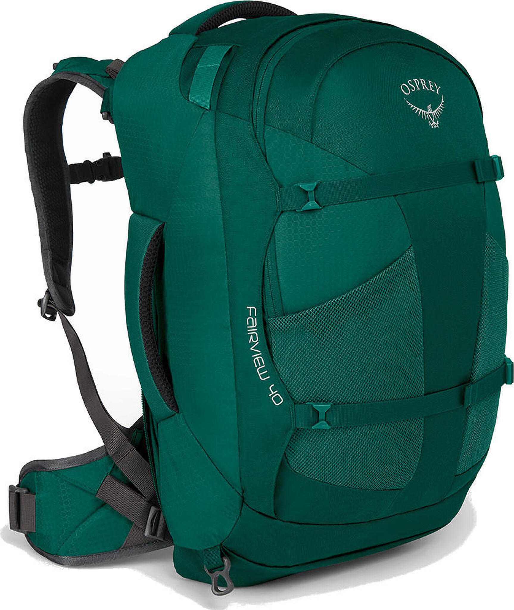 Rainforest Green