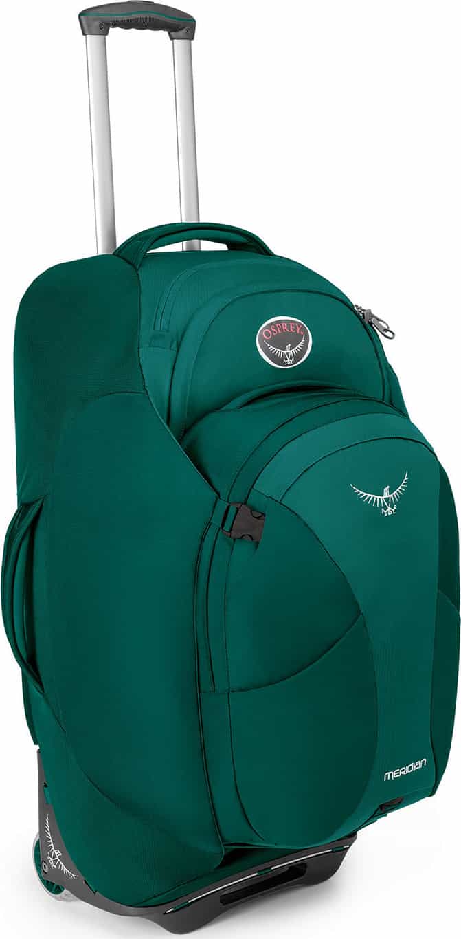 Rainforest Green