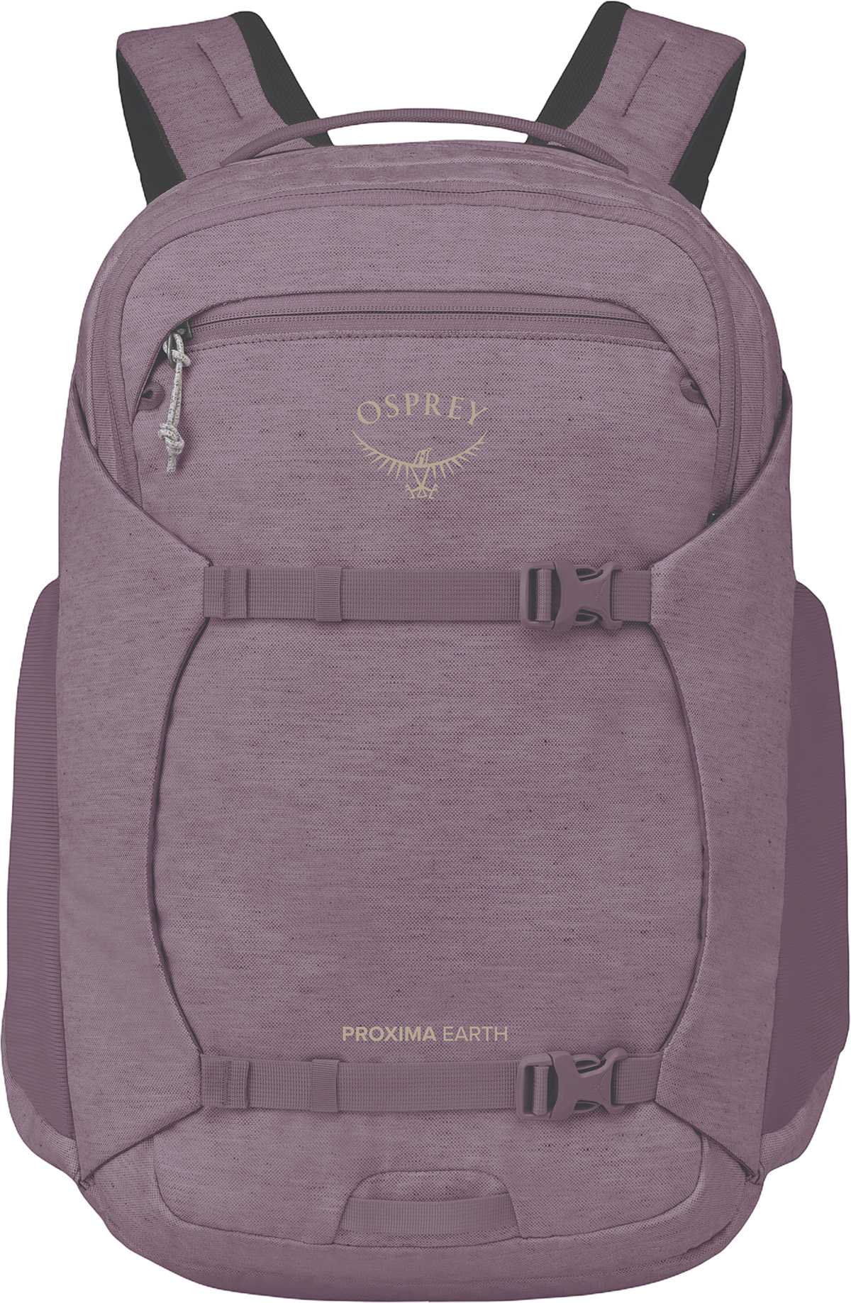 Purple Dusk