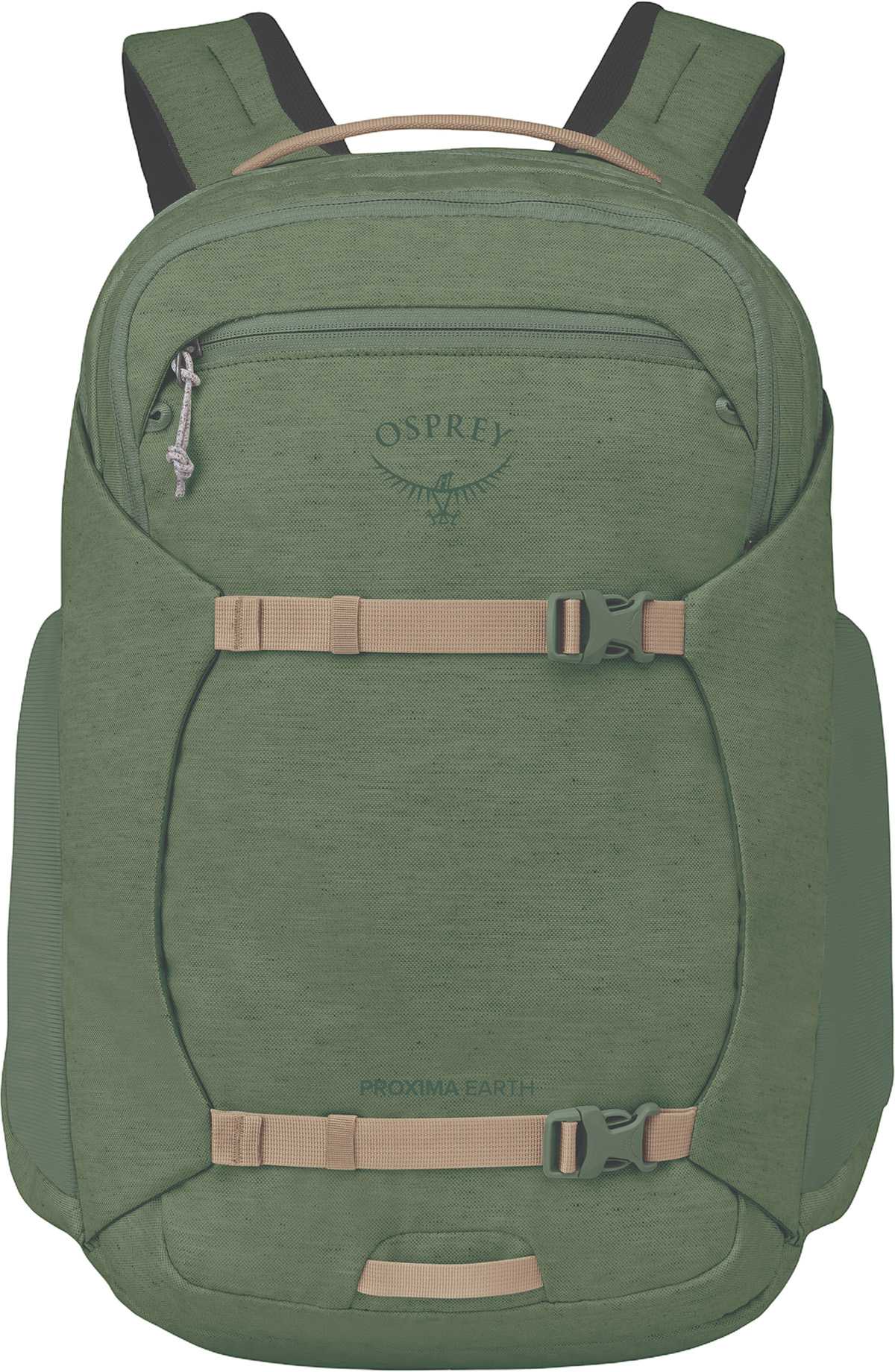 Sunny Sage Green