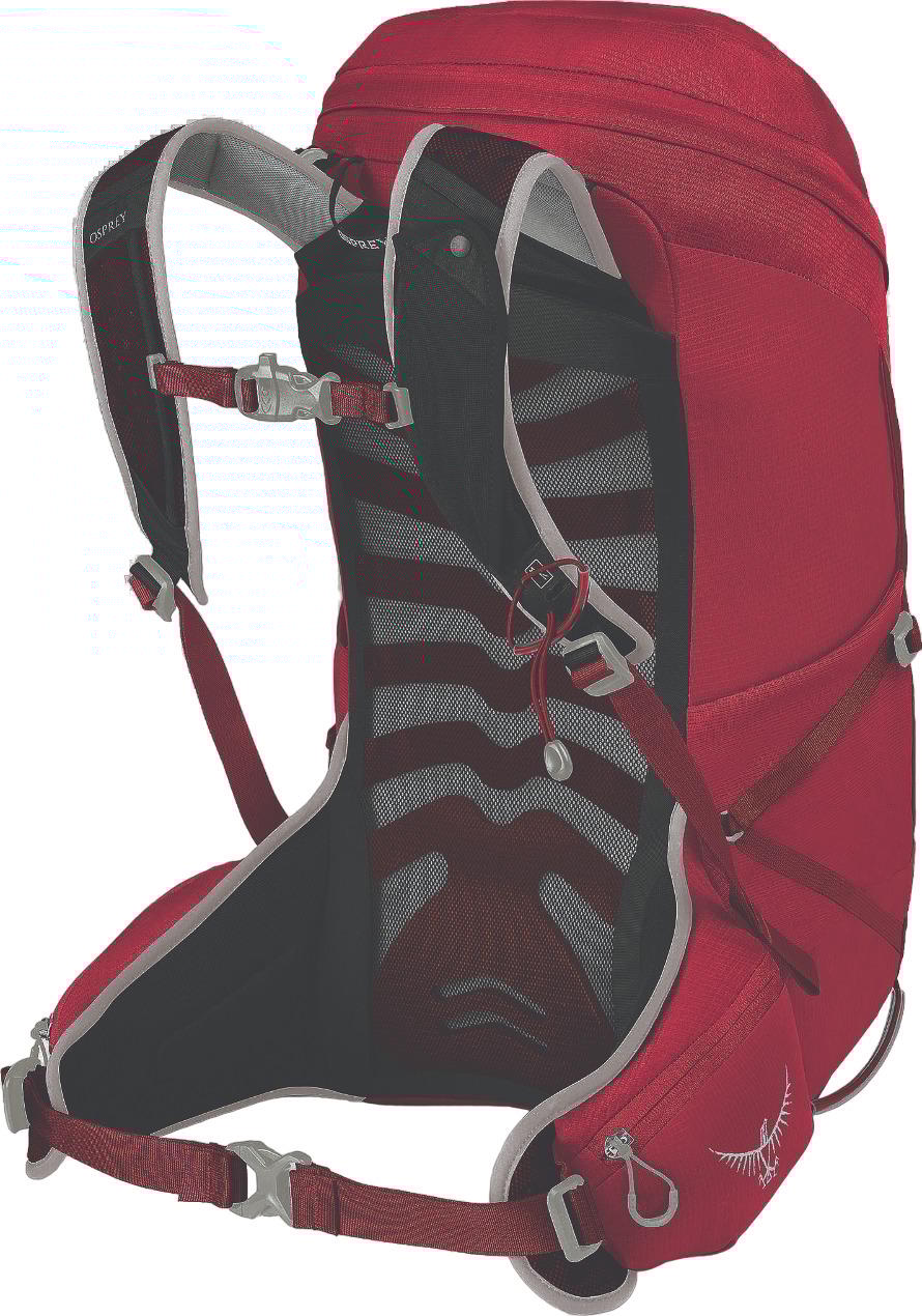 Numéro de l'image de la galerie de produits 2 pour le produit Sac à dos Talon 26L - Homme
