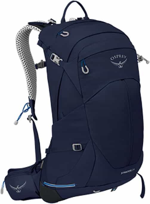 Cetacean Blue
