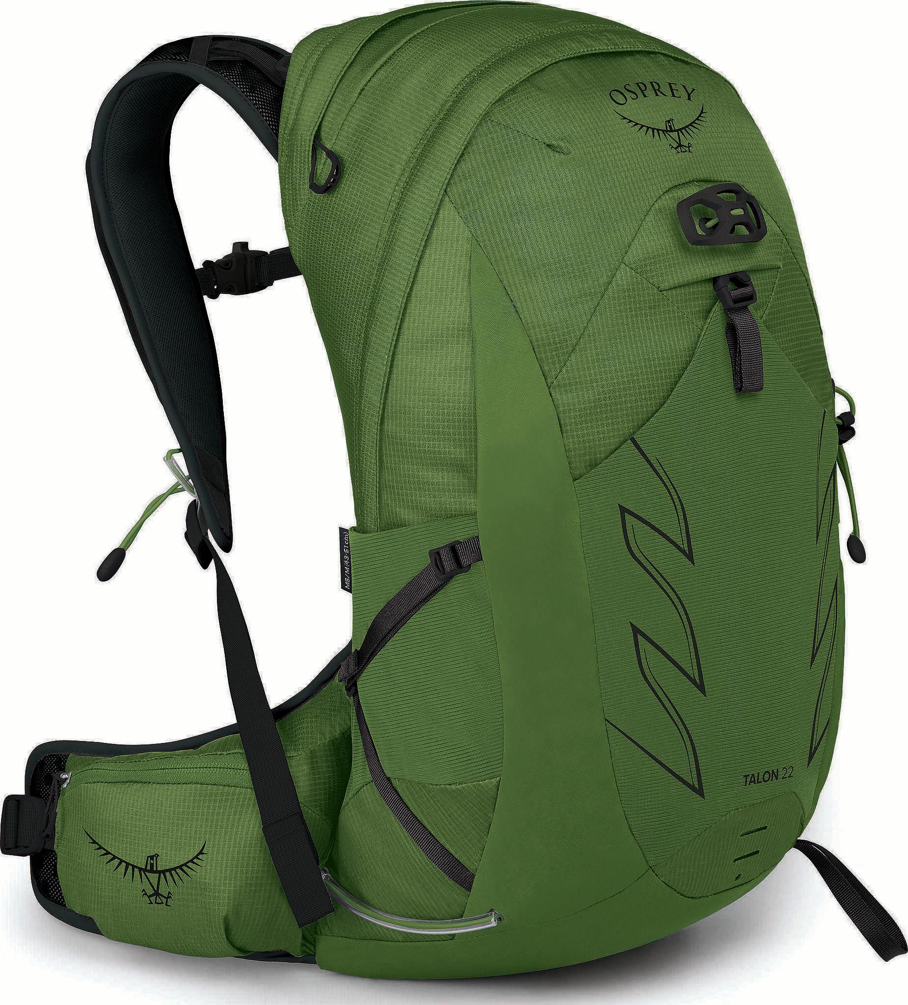 Green Belt - Black