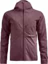 Colour: Chestnut