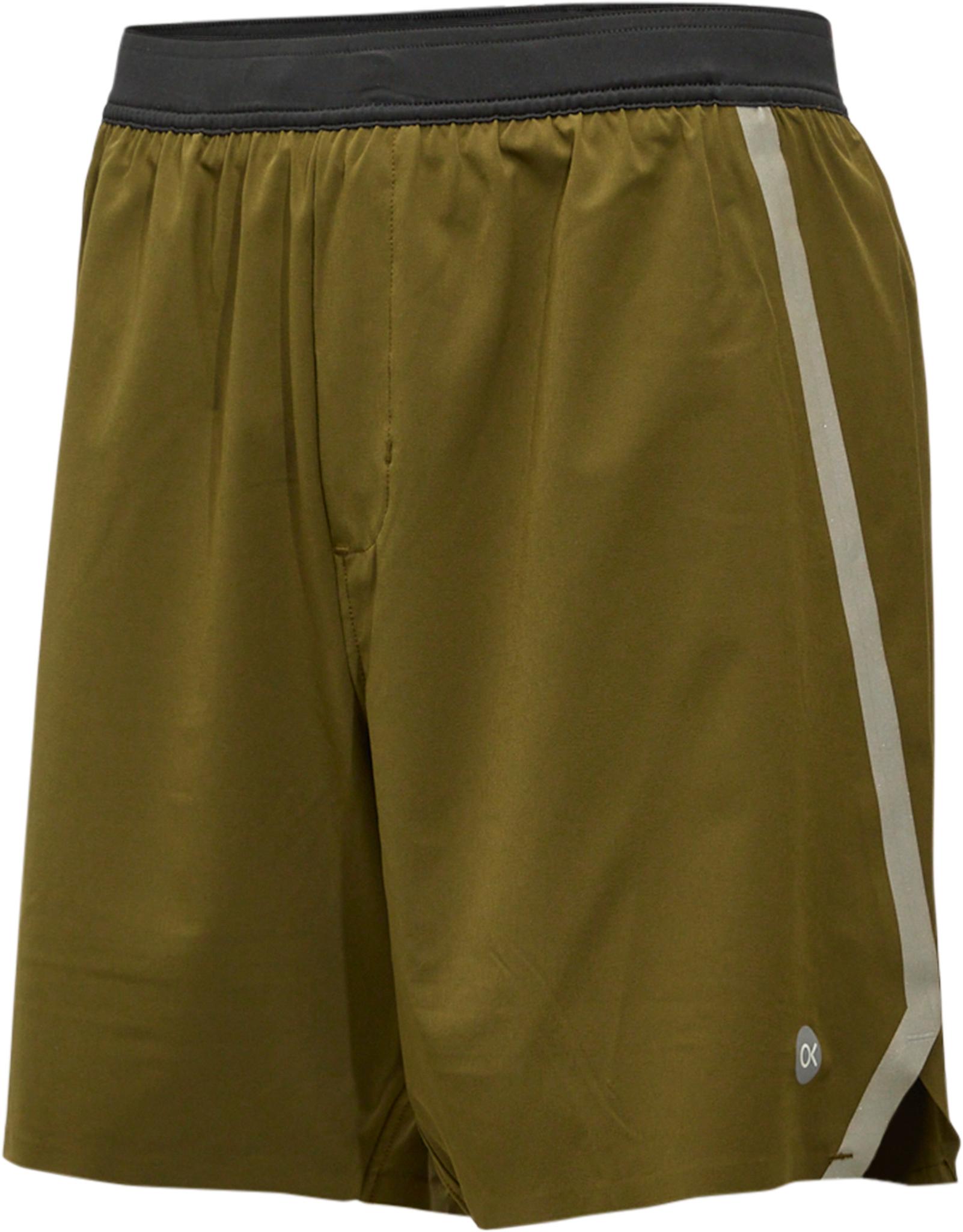 Product gallery image number 3 for product Endurance Lined Volley Shorts - Men's
