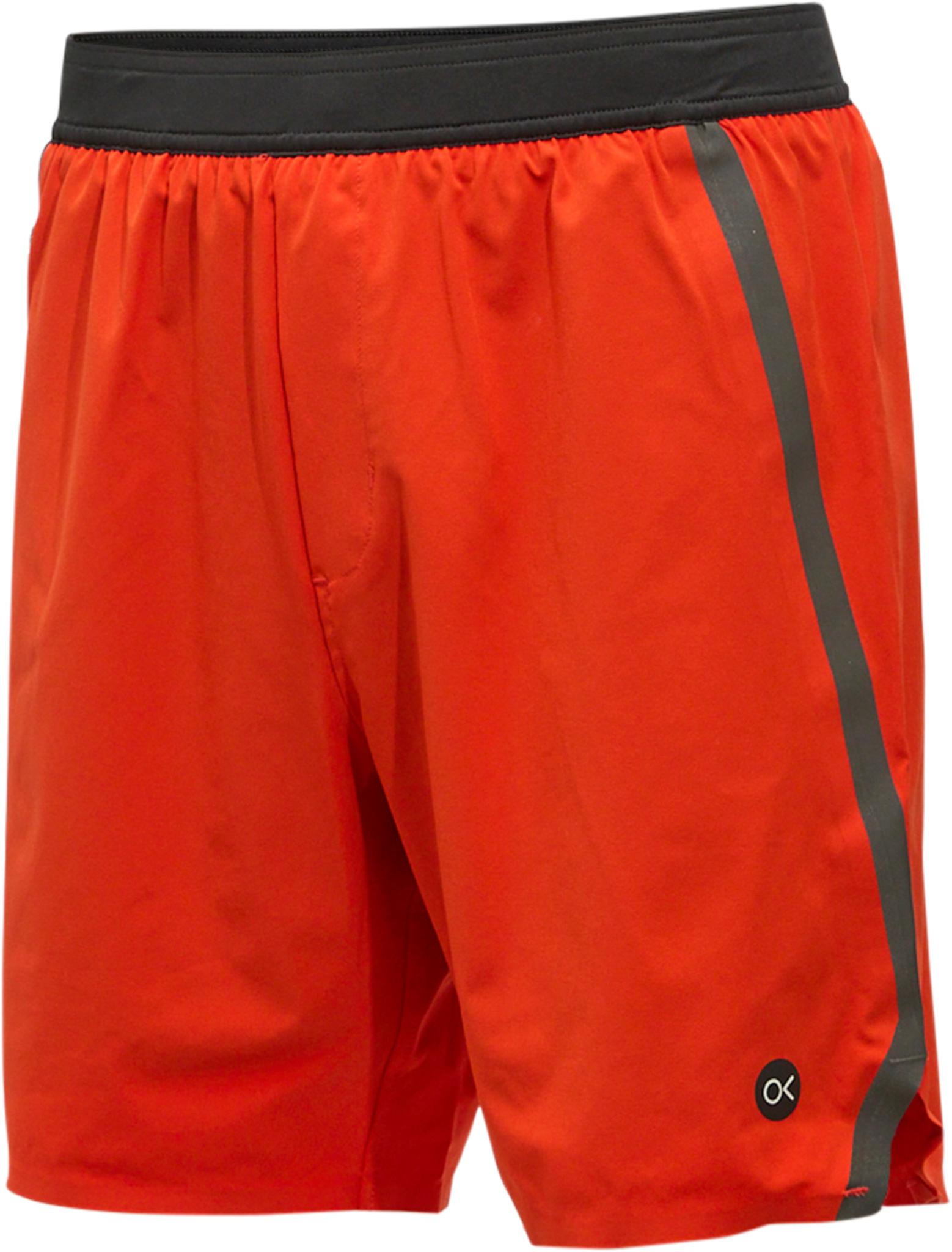 Product gallery image number 2 for product Endurance Lined Volley Shorts - Men's
