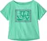 Colour: Early Teal