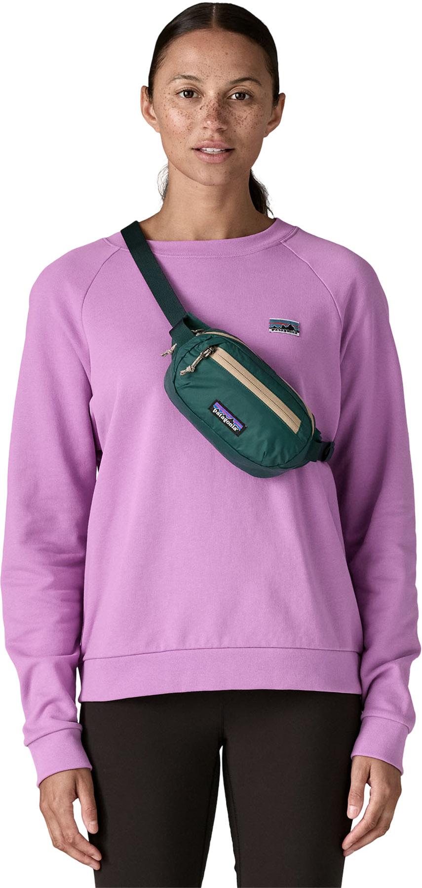 Product gallery image number 2 for product Terravia Mini Hip Pack 1L