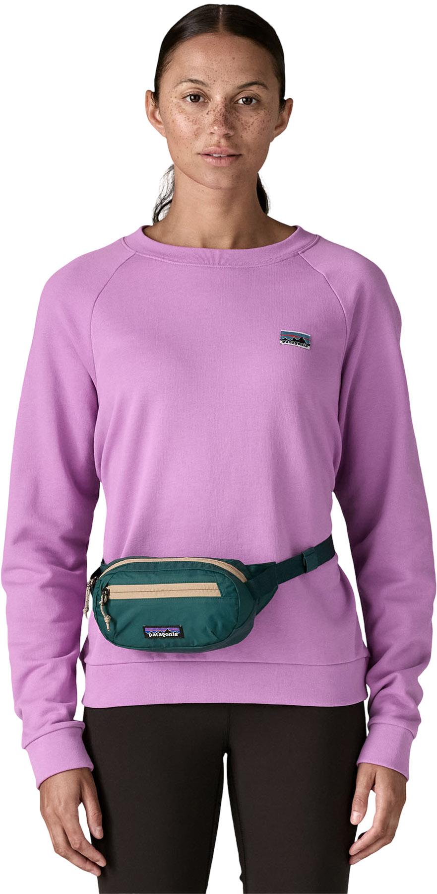 Product gallery image number 3 for product Terravia Mini Hip Pack 1L