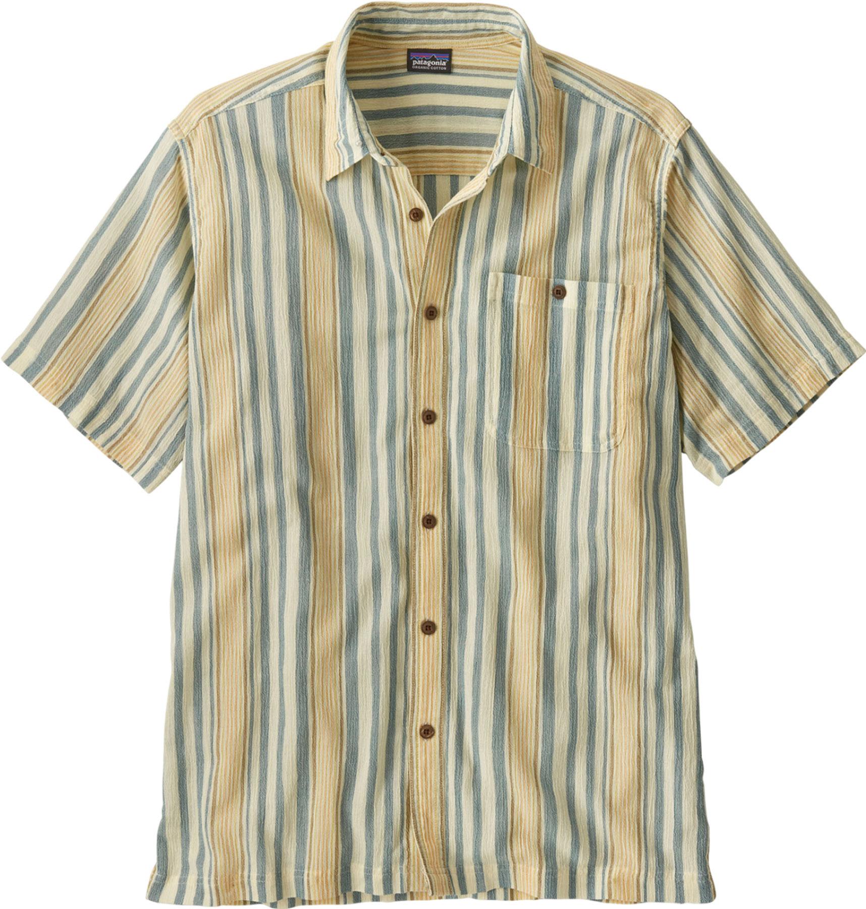 Sunkissed - Buttercup Yellow