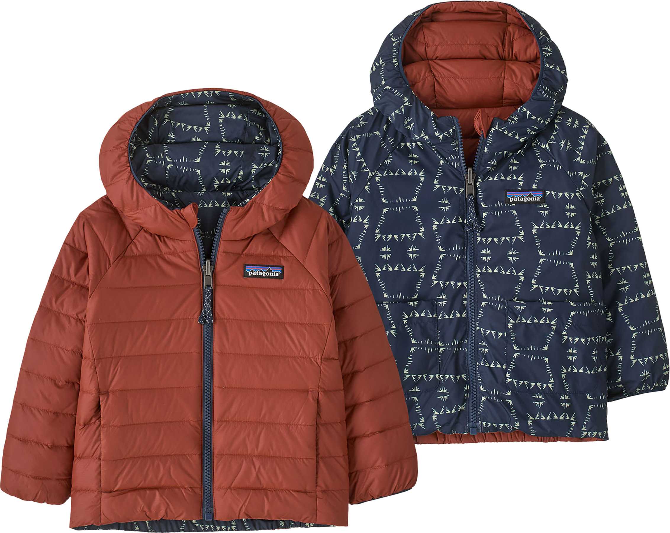Snowshoe Hare - New Navy