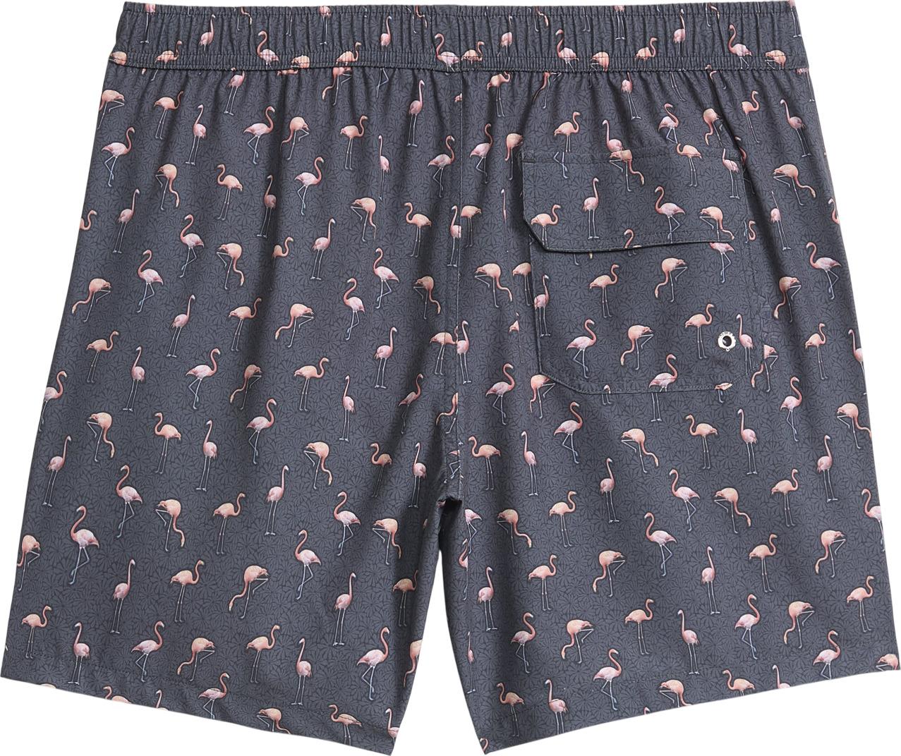 Product gallery image number 2 for product Flamingo Vibes 6.5" Classic Volley Swim Short with Mesh Brief - Boys