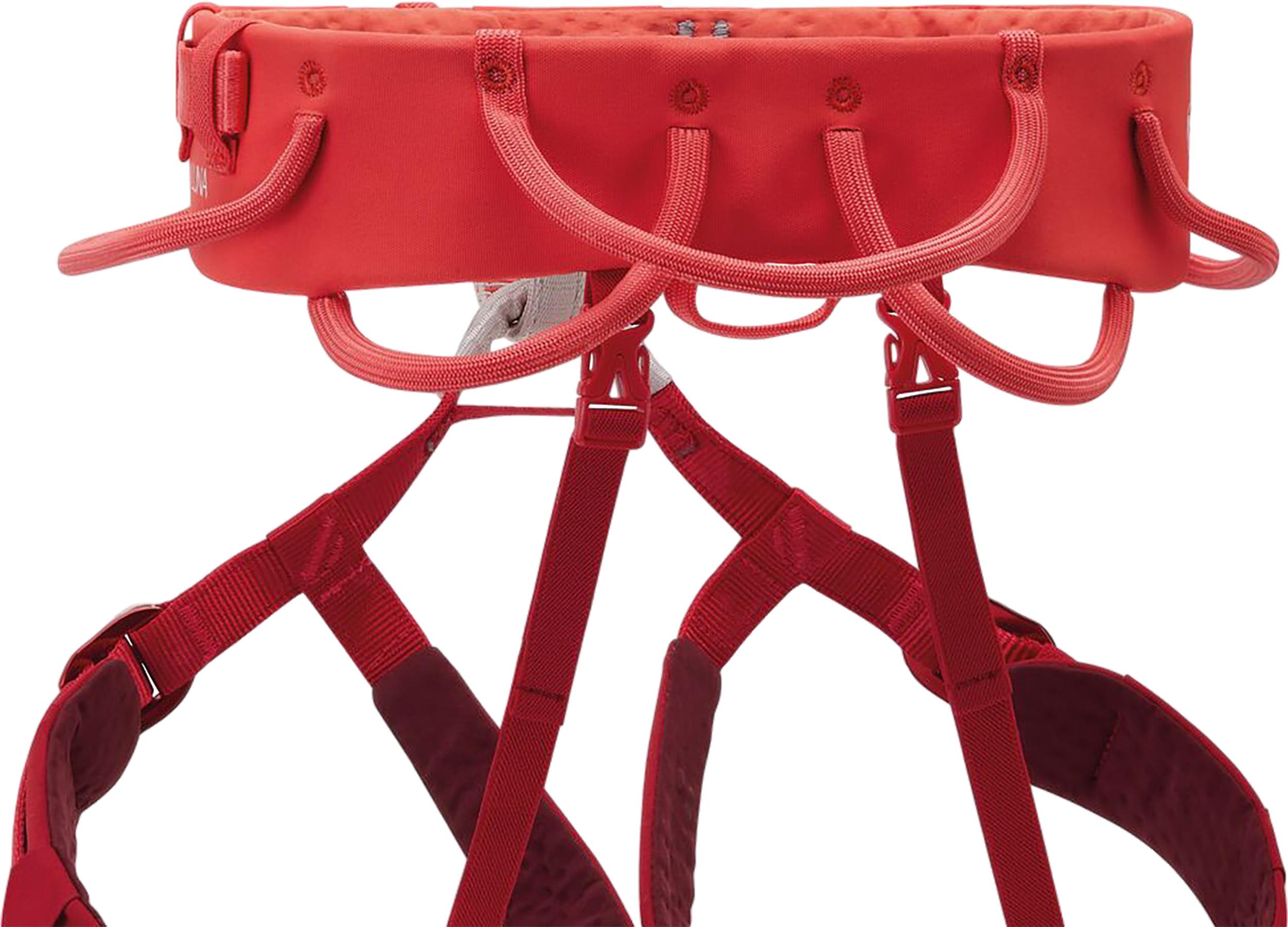 Product gallery image number 4 for product Luna Harness - Women's